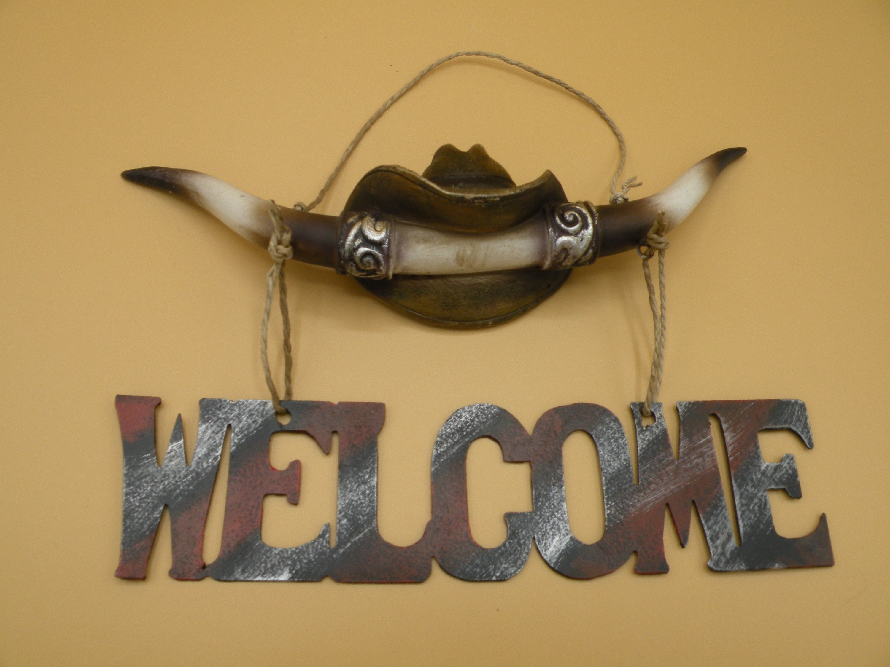 Western Bull Horns Cowboy Hat Plaque Wall Decor Etsy