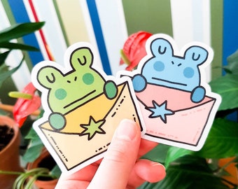 2PCS | frog sticker pack, frog gifts for girl, funny party favors for birthdays, kawaii sticker for laptop, whimsical stickers for journal