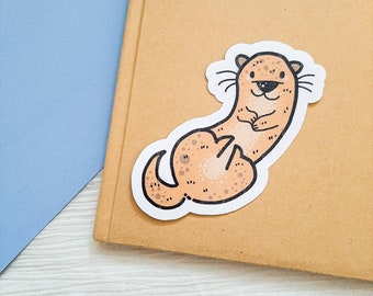 otter stickers cute, eclectic sticker for laptop, animal stickers for kids, whimsical stickers for notebook, penpal gift, tween girl gift