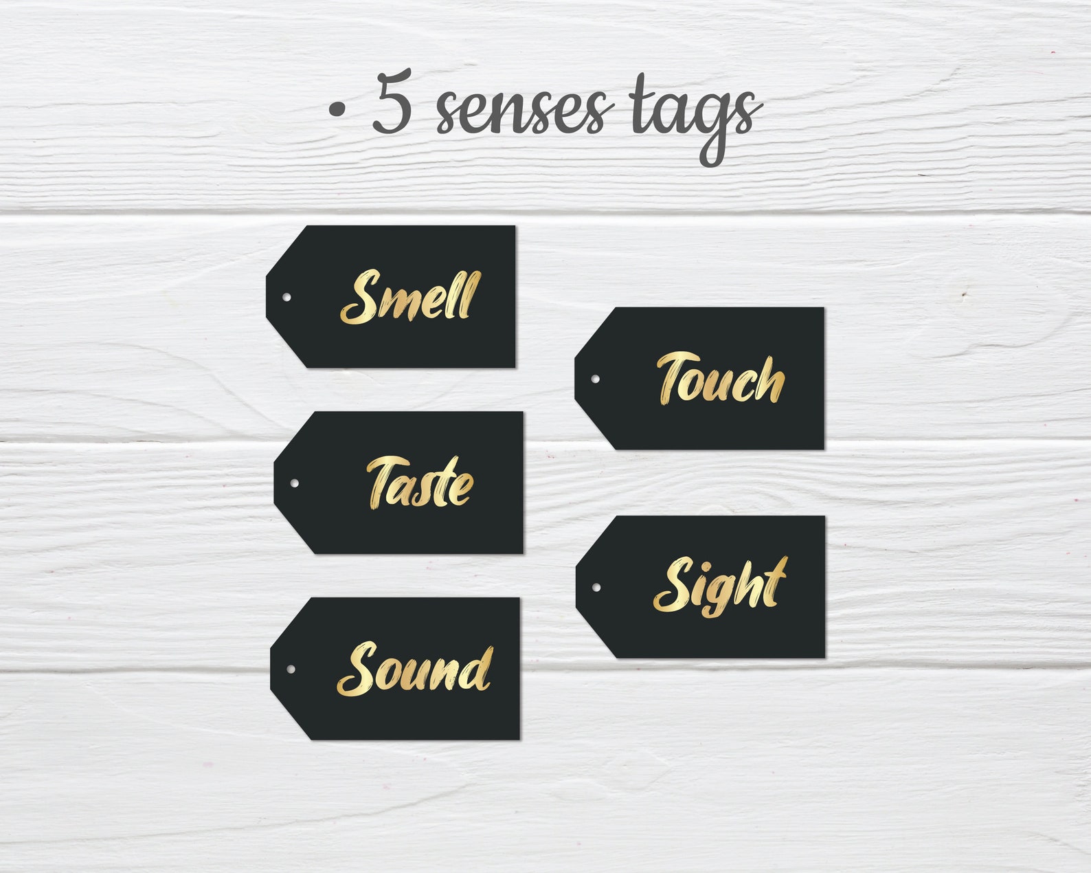 5 Senses Friend Gift Tags, Printable Birthday Cards for Bestie