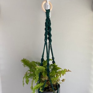 May include: A dark green macrame plant hanger with a wooden ring at the top, holding a potted fern plant.