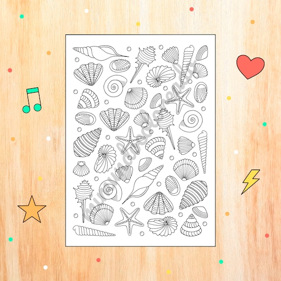 Drawing seashells for coloring summer coloring page maritime