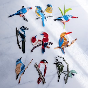 May include: Assortment of colorful embroidered bird patches. The patches feature a variety of bird species, including bluebirds, kingfishers, and robins. The patches are perfect for adding a touch of whimsy to clothing, bags, or other accessories.