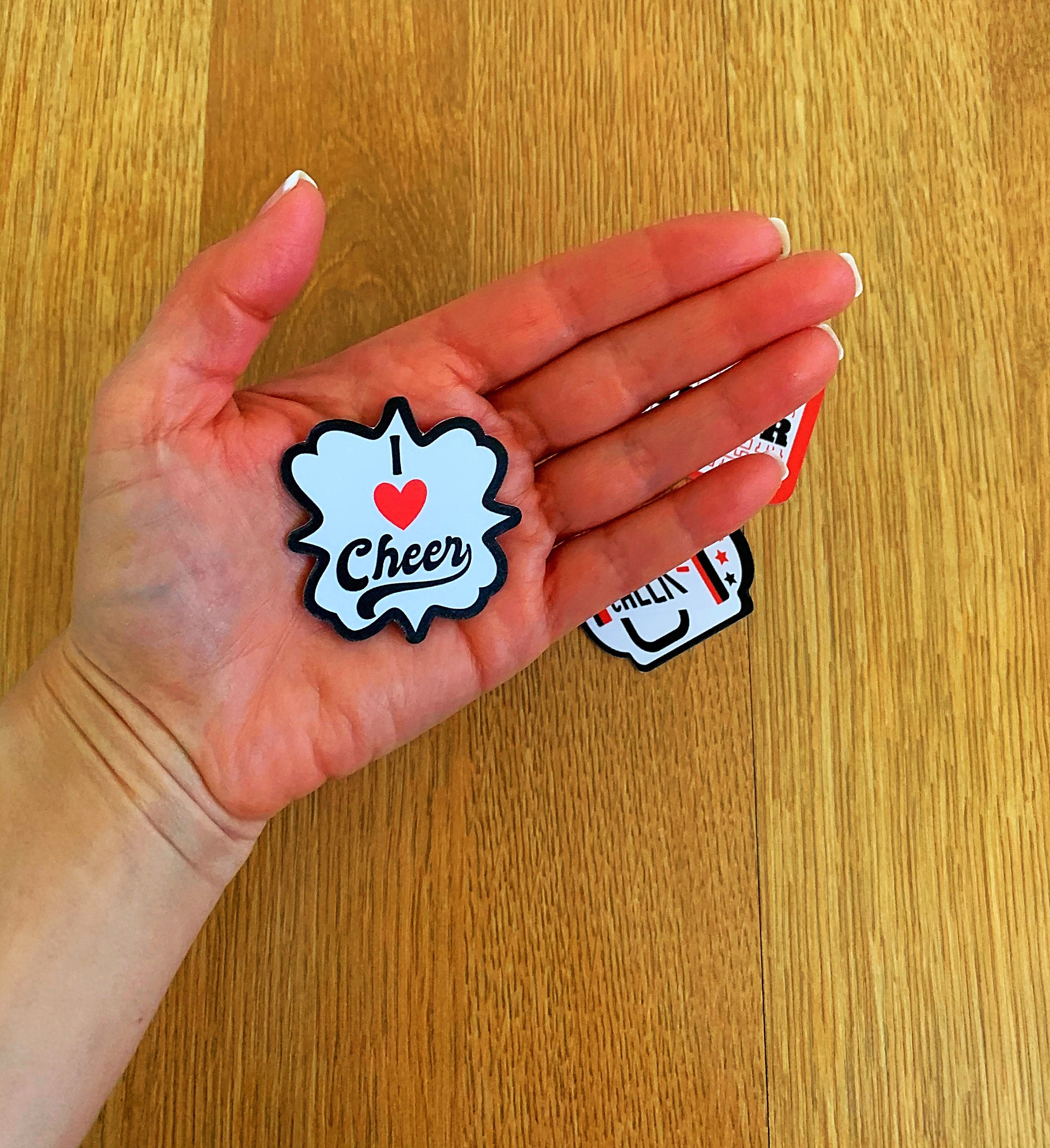 Cheer Stickers, Cheerleader Stickers, Cheer Gifts, Pom Pom Stickers ...