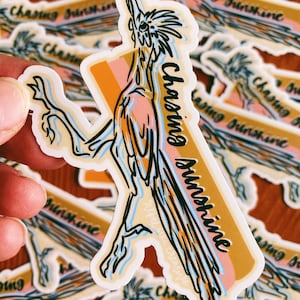 Chasing Sunshine Roadrunner Sticker