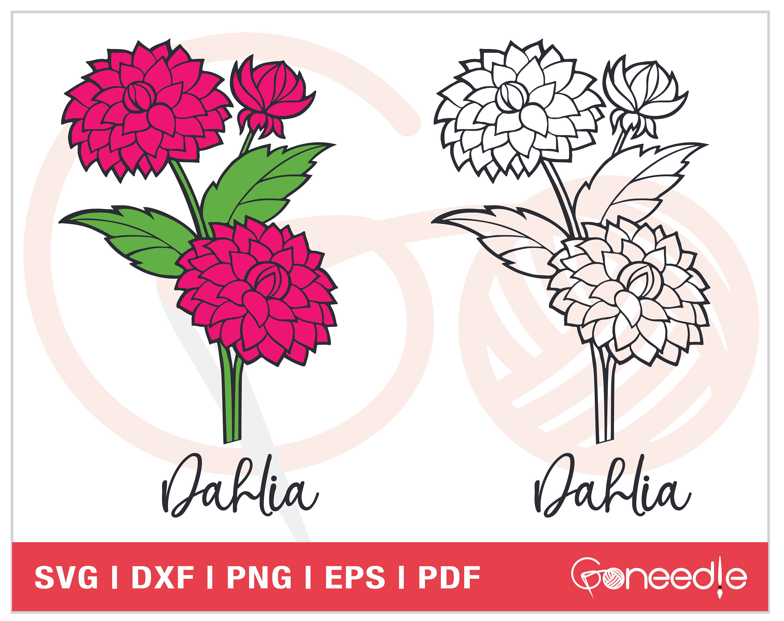 Dahlia Flower SVG
