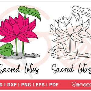 Heilige Lotus SVG Cut Files | Bloemen SVG | Bruidsboeket SVG | Bloemen Boeket | Botanische Illustratie | | commercieel gebruik Direct downloaden