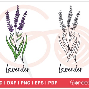 Lavendel SVG schneiden Dateien | Blumen SVG | Hochzeit Bouquet SVG | Blumenstrauß | Botanische Illustration | Kommerzielle Nutzung | Sofortiger Download