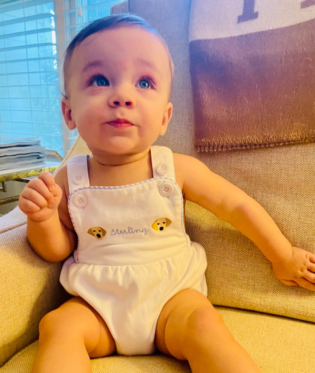 Embroidered Puppy Sunsuit,personalized Dog Bubble,baby Boy Puppy Outfit,boy Girl Puppy Outfit