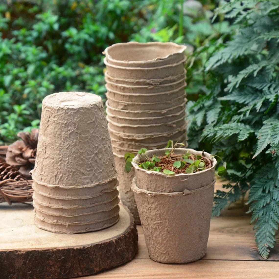 40/80/120 Nursery Seed Cup Plant Pot 8cm Round Pulp Peat Etsy UK