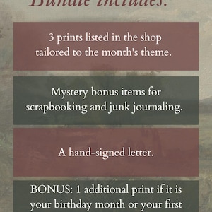 Snail Mail Club - Taylor Themed Lyric Art Print Bundle image 3