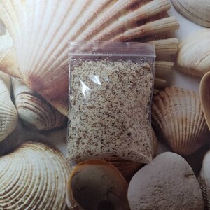 May include: A clear plastic bag filled with small, light brown granules. The bag is set against a backdrop of various seashells in shades of cream and brown, creating a coastal theme.