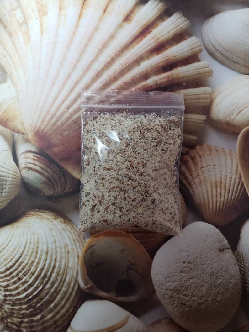 May include: A clear plastic bag filled with small, light brown granules. The bag is set against a backdrop of various seashells in shades of cream and brown, creating a coastal theme.