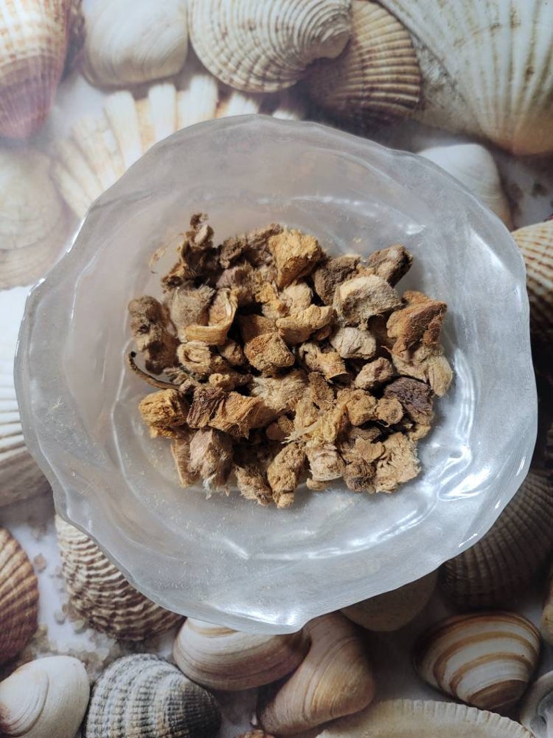 Puede incluir: Un peque&ntilde;o taz&oacute;n blanco lleno de trozos de ra&iacute;z de jengibre secos, de color marr&oacute;n claro y de forma irregular.