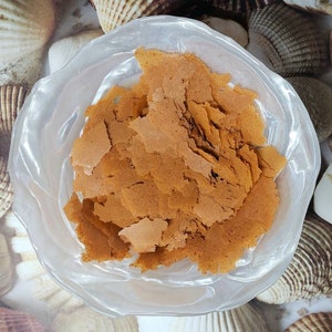 May include: A clear glass bowl filled with crispy, light brown, irregularly shaped pieces of food. The bowl is sitting on a surface covered with seashells.