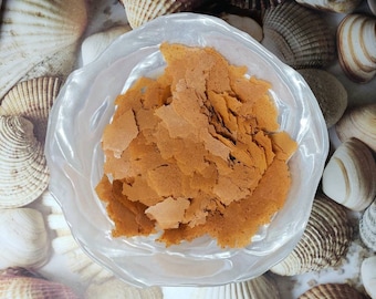 Orange Flakes- Color Enhancing (Krill/Plankton/Spirulina) | Hermit Crab Food