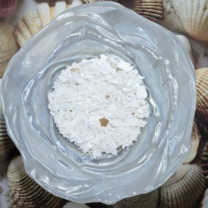 May include: A white bowl filled with crushed seashells, surrounded by seashells of various shapes and sizes.