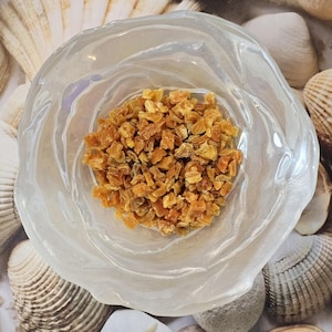 Dried Sweet Potatoes | Hermit Crab Food