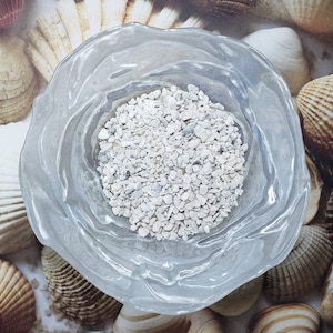 May include: A clear, wavy-edged glass bowl filled with small, white pebbles. The bowl sits on a background of various seashells in shades of brown, tan, and white, creating a coastal theme. The pebbles appear to be crushed stone.