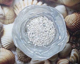 Crushed Coral/Oyster Shell | Hermit Crab Food