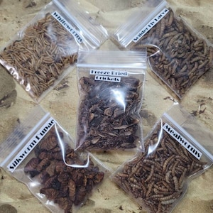 May include: Six clear plastic bags filled with different types of dried insects, including freeze-dried crickets, mealworms, whiteworms, silkworms, and soldier fly larva. Each bag has a label with the name of the insect.