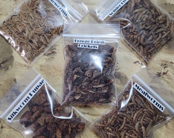 Bug Pack | Hermit Crab Food