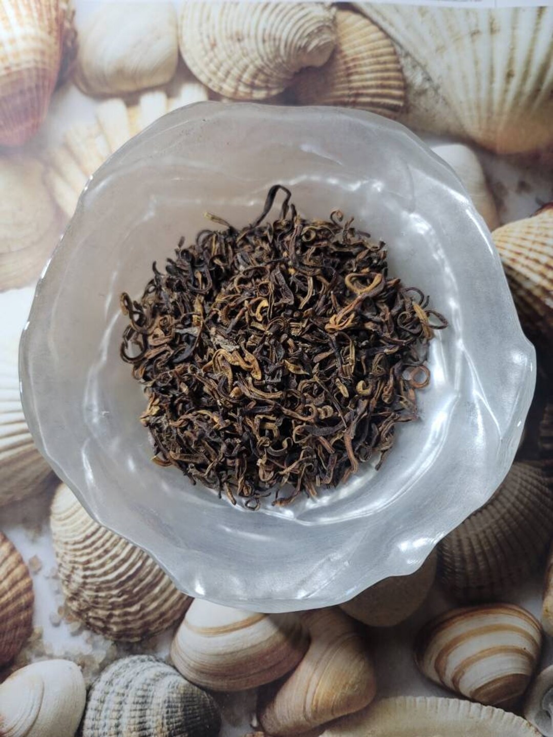 Freeze Dried Earthworms Hermit Crab Food Etsy