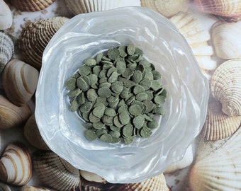 Spirulina/Algae/Veggie Wafers | Hermit Crab Food