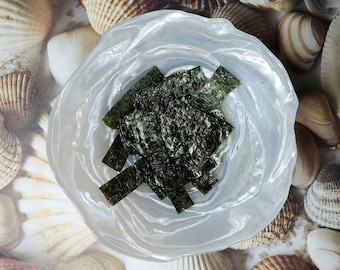 Seaweed Strips | Hermit Crab Food