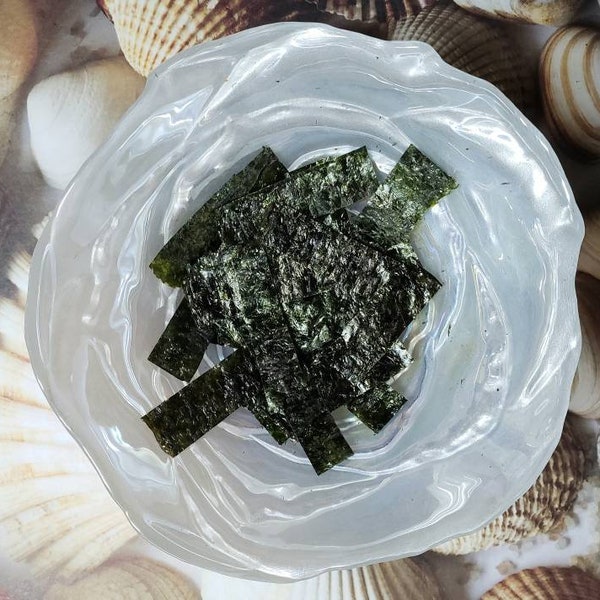 Seaweed Strips | Hermit Crab Food