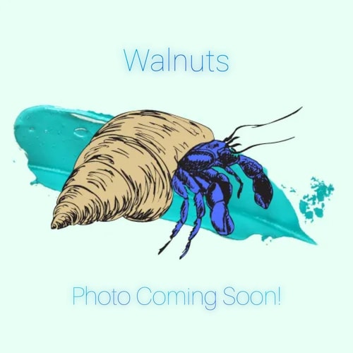 Freeze Dried Mealworms Hermit Crab Food Etsy