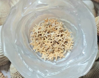 May include: A clear glass bowl filled with a large quantity of small, light brown starfish.