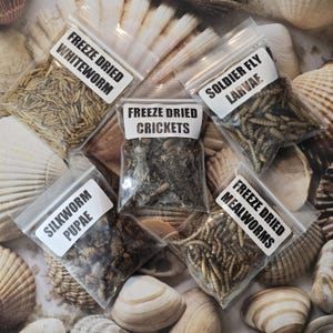 Bug Pack | Hermit Crab Food