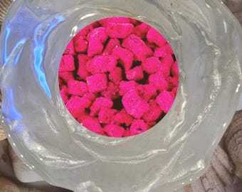 Freeze Dried Dragon Fruit *NEW* | Hermit Crab Food