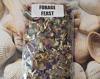 Forage Feast (4x6 bag)