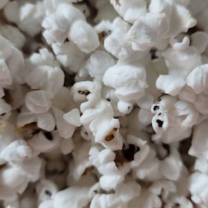 May include: A close-up of a bowl of white popcorn. The popcorn is fluffy and appears to be freshly popped.