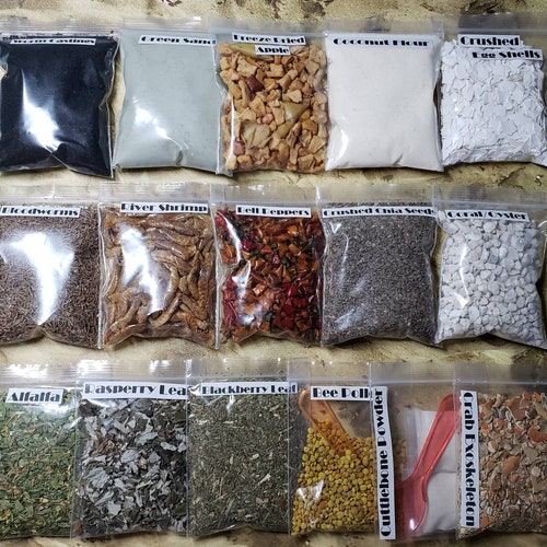 Flexible Acrylic Hermit Crab Ladderhermit Crab Gearcrab Tank Etsy