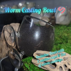 Hermit Crab Worm Casting Suction Cup Bowl | Hermit Crab Decor