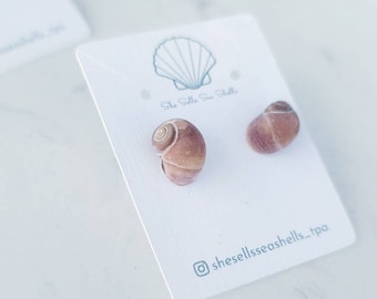 Seashell Stud Earring, dark red snail seashell, sterling silver and shell earrings, beach style jewelry accessories, gift for her, holiday