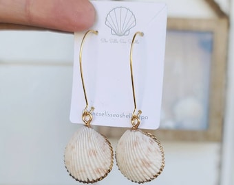 Natural seashell dangle earrings - gold bordering