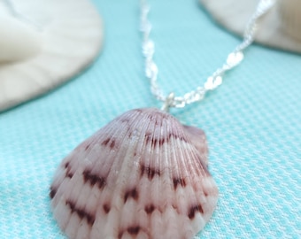 Real Seashell Calico Necklace | dainty silver and pink shell jewelry silver chain gift mom daughter sister