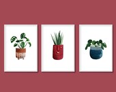 Houseplant Print Set of 3 Snake Plant Monkey Mask Cheese Plant Chinese Money Plant A5 A4 A3 A2