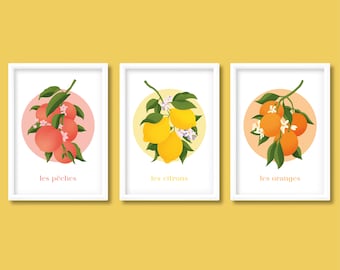 Fruit Branch Exhibition Print Set of 3 | Fruit Botanical | Lemon Orange Peach | Minimalist Boho Colourful | A5 A4 A3 A2 | Unframed