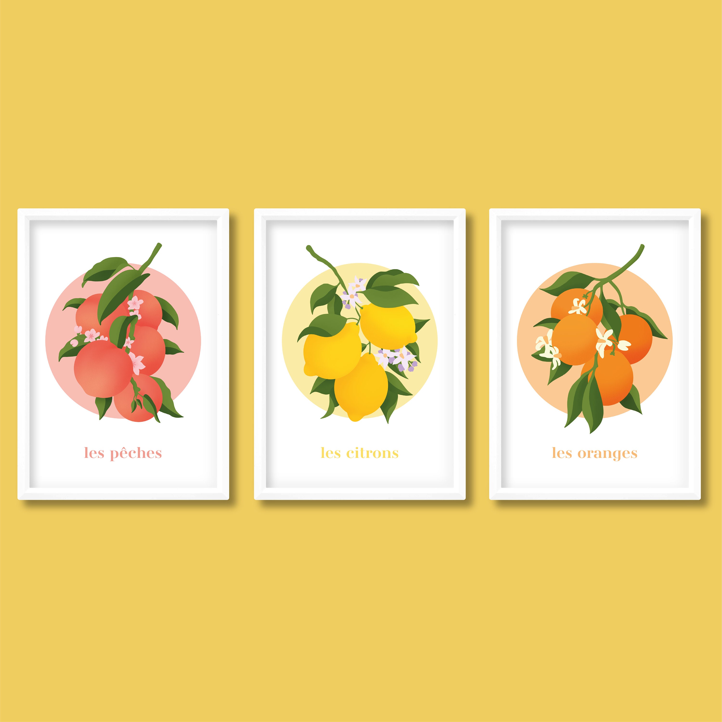 Fruit Branch Exhibition Print Set de 3 | Botanique Des Fruits Pêche Citron Orange Colorée Boho Minim