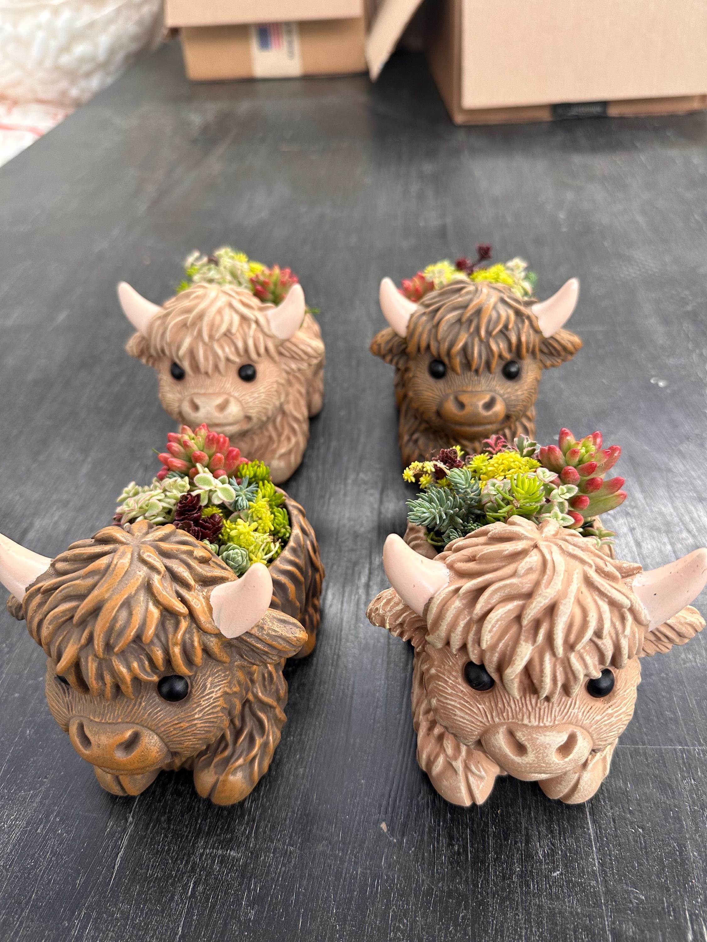Mini Highland Cow Succulent Arrangement – Cute Succulent Planter, Farmhouse Decor, Unique Gift, Succulent Cow, Handcrafted Planter for Home