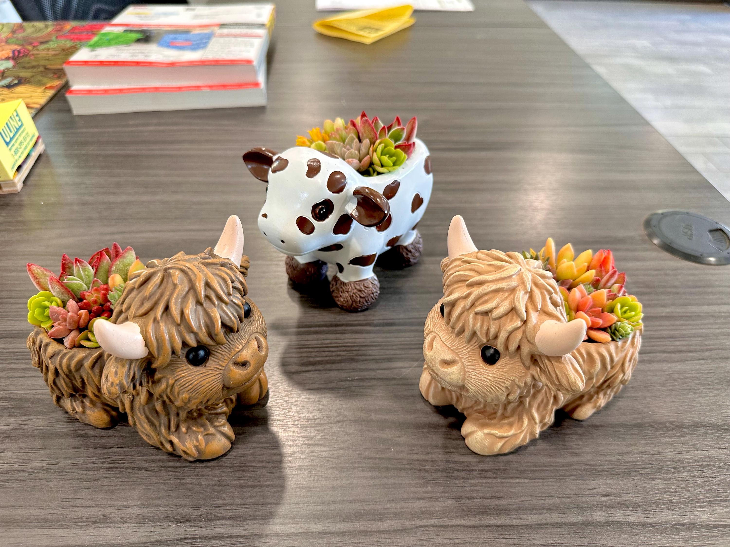 Mini Highland Cow Succulent Arrangement – Cute Succulent Planter, Farmhouse Decor, Unique Gift, Succulent Cow, Handcrafted Planter for Home