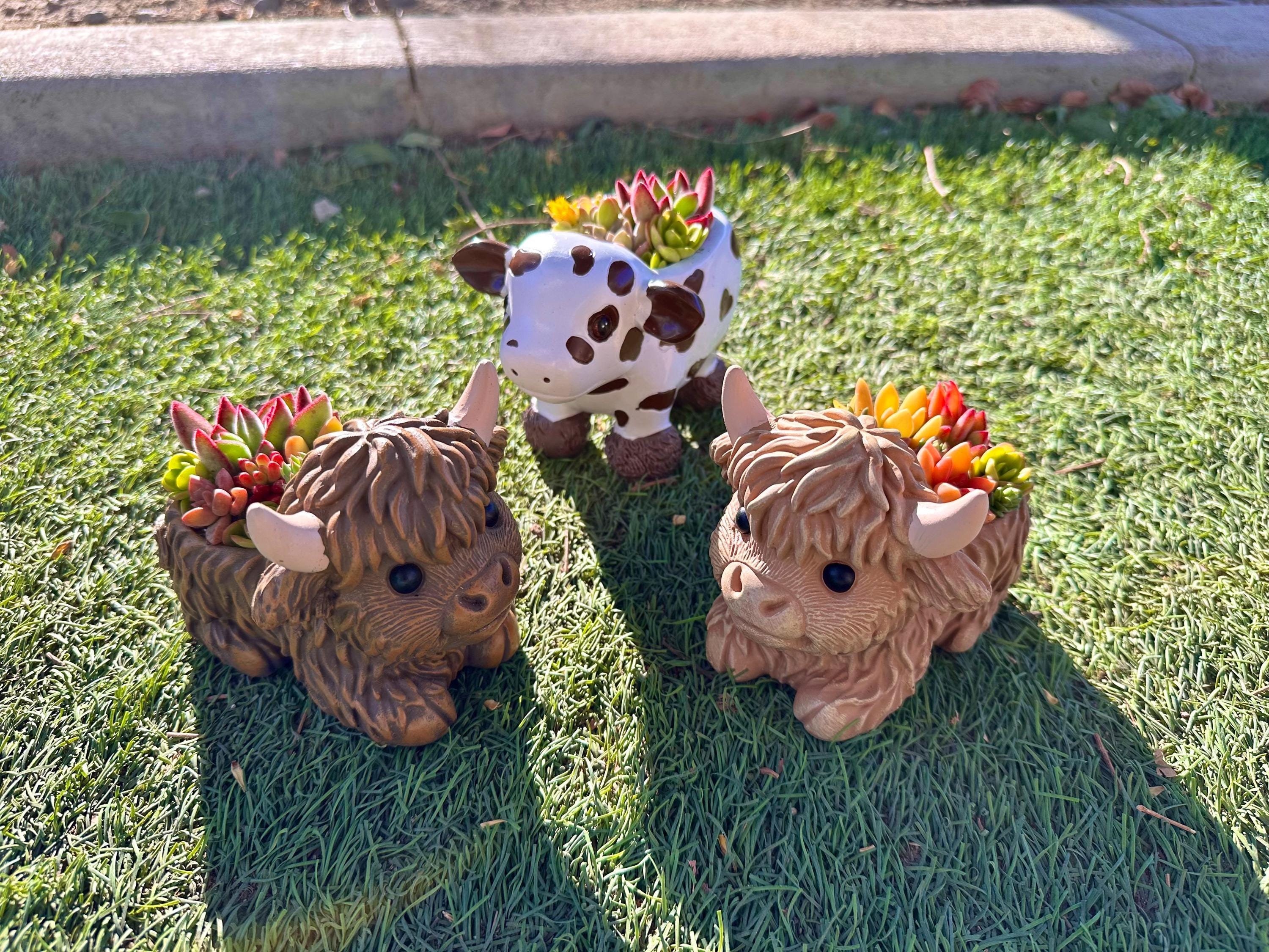 Mini Highland Cow Succulent Arrangement – Cute Succulent Planter, Farmhouse Decor, Unique Gift, Succulent Cow, Handcrafted Planter for Home