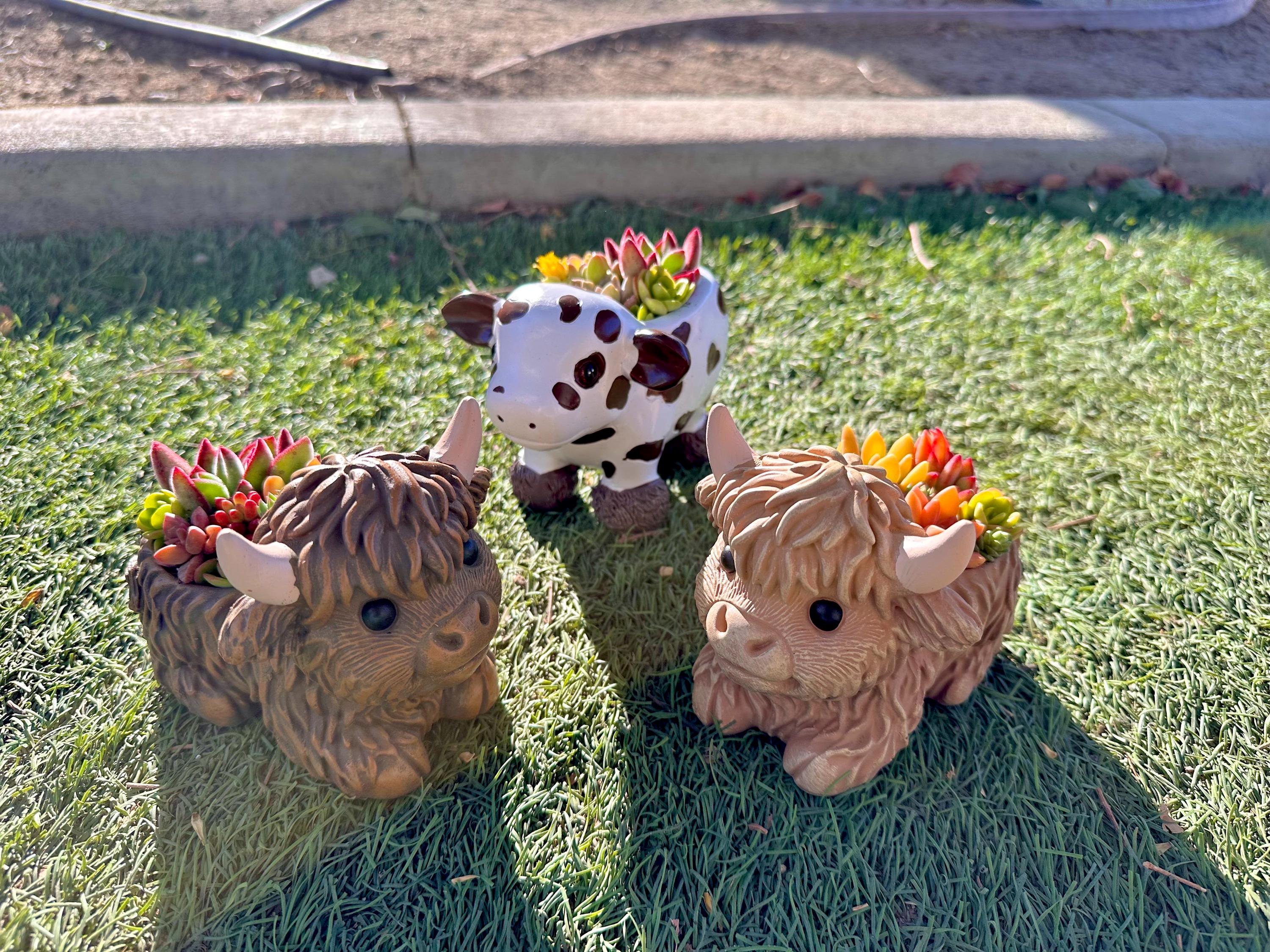 Mini Highland Cow Succulent Arrangement – Cute Succulent Planter, Farmhouse Decor, Unique Gift, Succulent Cow, Handcrafted Planter for Home