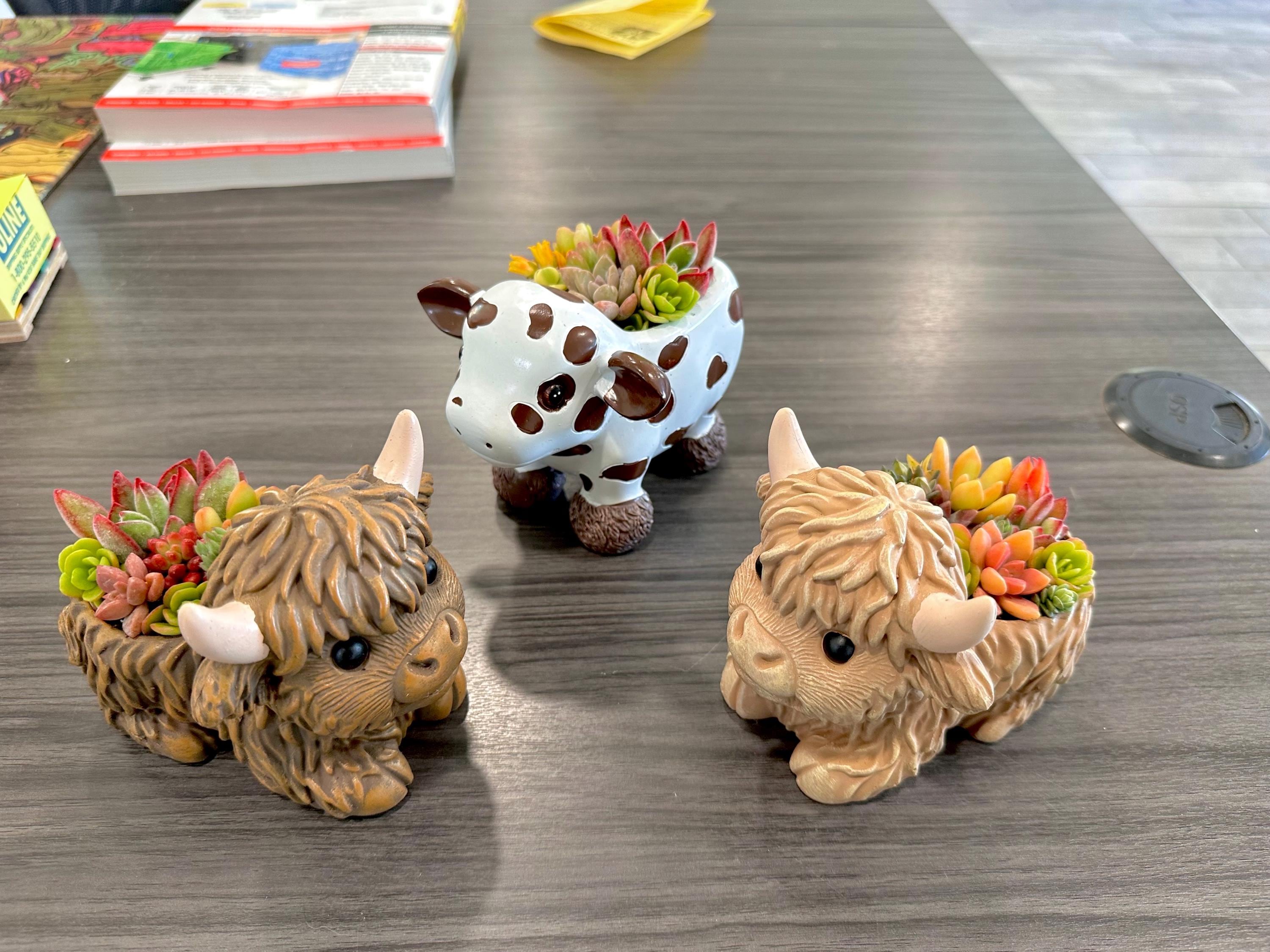 Mini Highland Cow Succulent Arrangement – Cute Succulent Planter, Farmhouse Decor, Unique Gift, Succulent Cow, Handcrafted Planter for Home