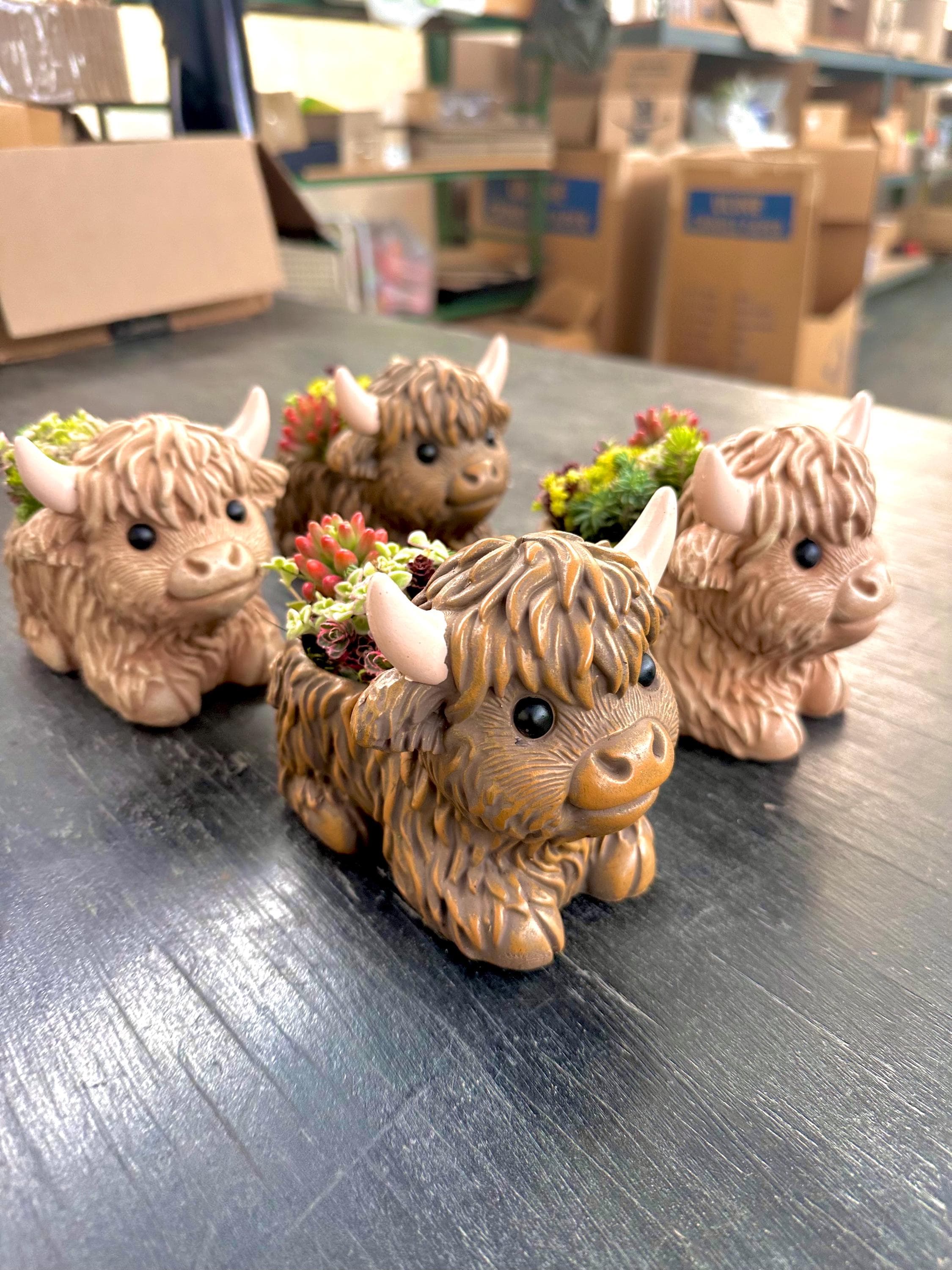 Mini Highland Cow Succulent Arrangement – Cute Succulent Planter, Farmhouse Decor, Unique Gift, Succulent Cow, Handcrafted Planter for Home